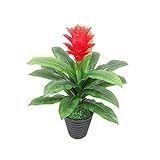 Rote Blumen mit grünen Blättern.Es ist etwa 27,55 Zoll lang und 27,55 Zoll hoch.