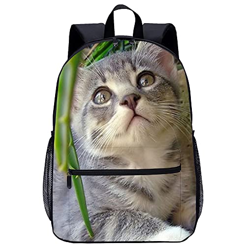 Sac à dos chat confortable pour soulager les épaules des étudiants