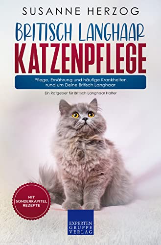 Britisch Langhaar Katzenpflege – Pflege, Ernährung und häufige Krankheiten rund