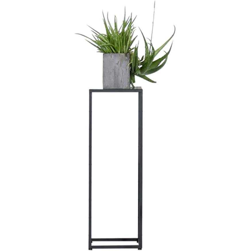 Étagère de salon en métal noir YangRy pour un coin de verdure élégant