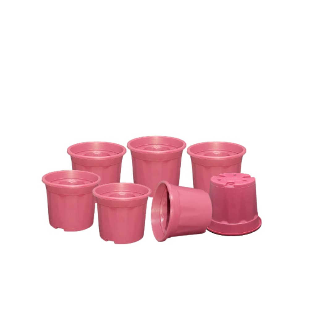 See full amazon price history chart for Plastic Garden Nursery Seed Starting Pot | 3 Inch – Pack of 40 | Home Décor and Seedling Pots | Red Plastic Garden Nursery Seed Starting Pot | 3 Inch – Pack of 40 | Home Décor and Seedling Pots | Red (B0BN3WJ3TC) Amazon Price History, Amazon Price Tracker