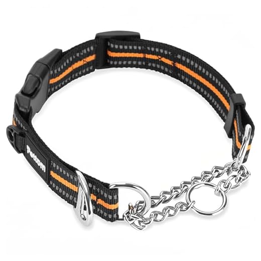 Sicherheits-Hundehalsband mit Zugstopp