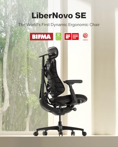 Steelcase Leap V2 chair