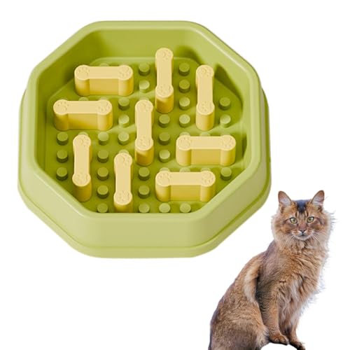 Lifetips \} Somali ybgpX[t[h{E Lp Hh~  Փx ~ 􂢂₷ NǗ 킢fUC iB^Cv CO[j