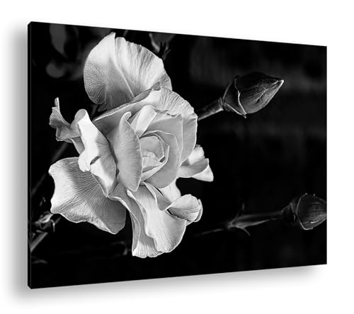 Impression numérique deyoli motif floral rose délicat 90x60 cm avec cadre