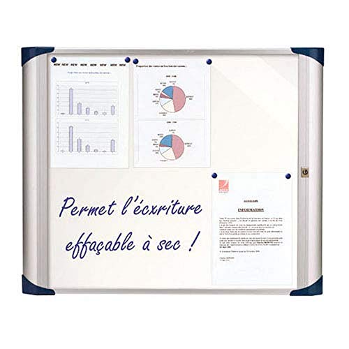 Biolab VEM 868 vitrine voor buiten, met deuren, 9 mm x A4, metalen bodem