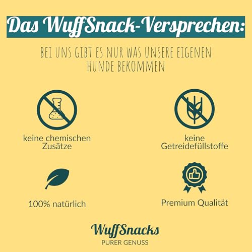 Getreidefreie Hunde Leckerlis vom Pferd | 500g | Trainingssnacks hypoallergen | 100% natürliche & zuckerfrei Trainingshappen | Leckereien für Hunde | Leckerli Hund | Dog Treats von WuffSnacks