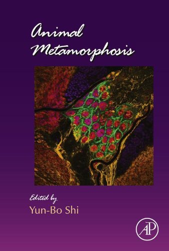 Animal Metamorphosis (Current Topics in Developmental Biology Book 103) (Volume 103)