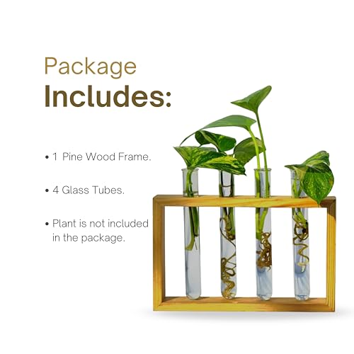 Image of Pilwals Modern Wooden Test Tube Vase, Multi-Tube Hydroponic Propagation Station, Desktop Propagation Station, Flower Holder for Home Office Decor, Four Test Tube Planter with Wooden Stand Pine Wood.