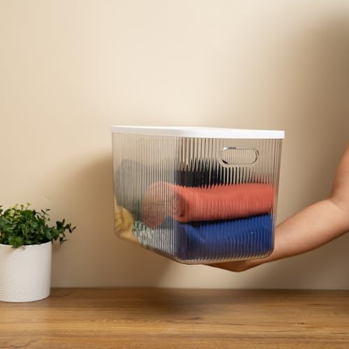 Oikos - Caixa Organizadora 18L Canelada Transparente com Tampa