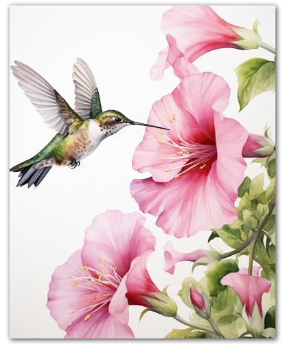 Poster botanique colibri décoration murale salon chambre bureau 20x25