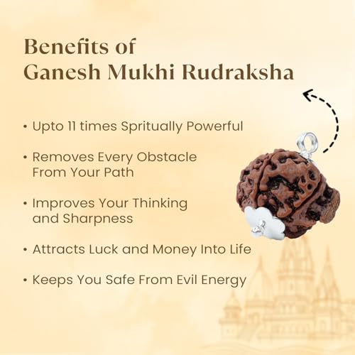 Image of Astrotalk Ganesh Mukhi Rudraksha | Remove Obstacles & Unlock Success | Wisdom, Protection & Confidence | Sacred Rudraksha Bead for Women & Men