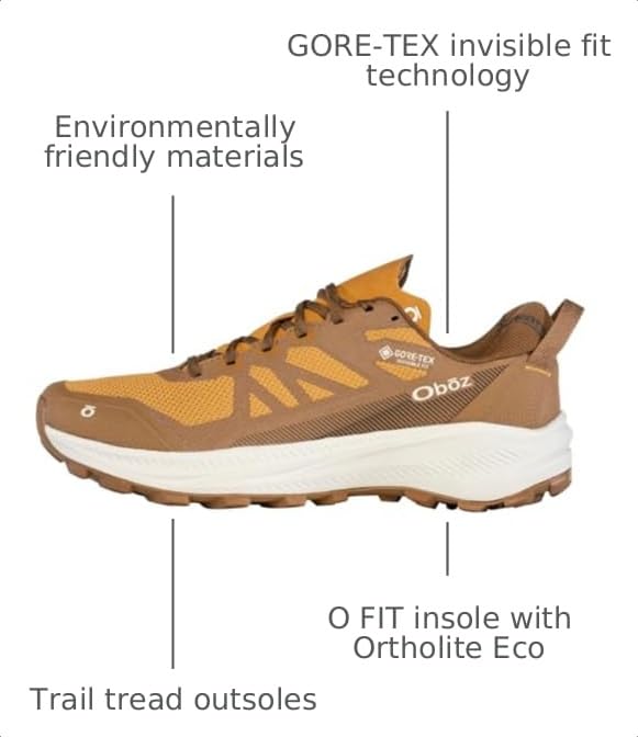 Image of Oboz Men's Katabatic LT Low GTX Hiking Shoe