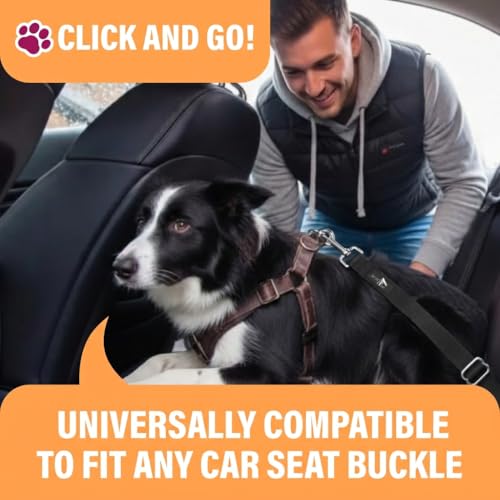 Image of Active Pets Dog Car Harness - Dog Seatbelts for Cars, Trucks, Travel - Tether Belt for Small & Large Dogs (Black, 2 Pack)