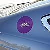Niagara University Primary Logo Automotive Car Window Locker Circle Bumper Sticker #4
