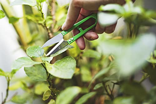 R&R SHOP Präzisionsscheren Set – Trimmen, Beschneiden für Bonsai, Präzisionsgriff, kleine Schere von hoher Qualität – 3 Stück