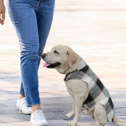 Papierschnittmuster Allwettermantel Hunde