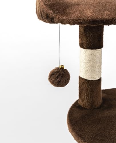 Arbre à chat avec grotte et surface de repos pour petits et grands chats