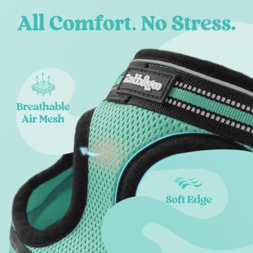 Image of rabbitgoo Cat Harness and Leash Set, Step-in Soft Vest, Green | Escape Proof, Lightweight, Easy-on & Adjustable, Hook & Loop with Buckle, Reflective, for Small Cats Walks, XL