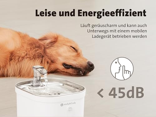 Molly&Cody Spring Trinkbrunnen für Katzen & Hunde (2L Wasserkapazität, automatischer Wasserspender, Ultra leise Wasserpumpe, sichtbare Wasserstandanzeige, 3-faches Filtersystem, kompakt, Edelstahl)