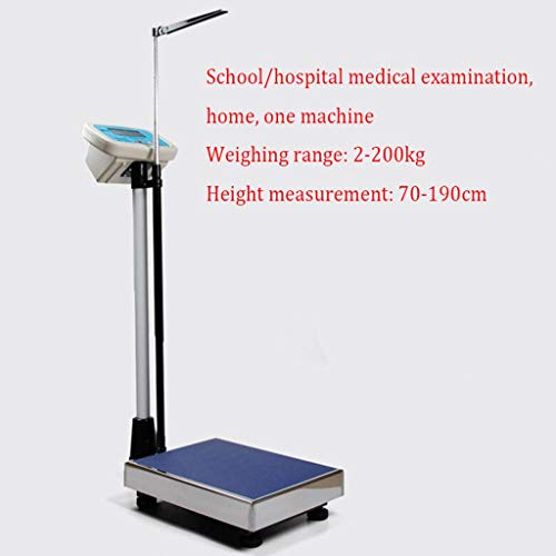 Báscula Digital Industrial Plegable para Equipaje y Envíos miniatura 2