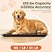 Imagen de Báscula digital para perros grandes con pantalla LED