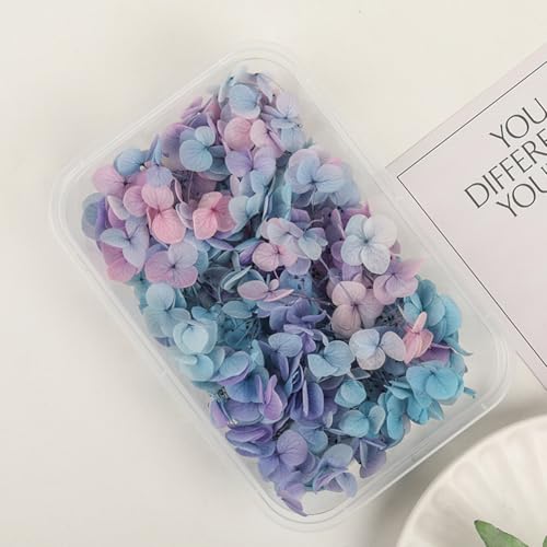 Set de 3 cajas de flores secas en degradado para manualidades miniatura 2