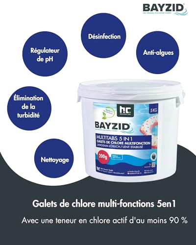 Höfer Chemie 2 x 5 kg Galets Chlore Multifonction 5 en 1 pour Piscine Fabriqué en Europe - Entretien et Nettoyage en 5 P
