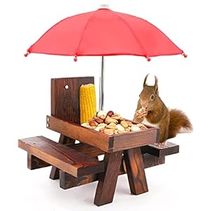 Eekhoorntje, voederhuis, hout, eekhoorntje, picknicktafel, voederdispenser, eekhoorntje, voederstation met paraplu
