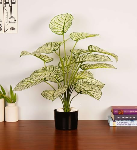 Image of ARICK DECOR 2.1Ft Artificial White Variegated Dieffenbachia Plant with 18 Leaves, 65cm Tall Faux Tropical Greenery in Black Pot, Realistic Large Silk Leaf Potted Tree for Home