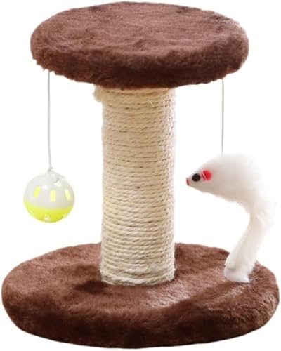 Runsweat qL̒܂ƂP[WݒułLbg^[ tbgXc[ ^ ĽXebvt  ^ S P[W ی^ 2 (R[q[F)