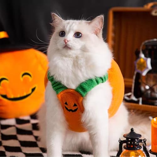 Disfraz de Calabaza para Perro Talla L Halloween miniatura 6