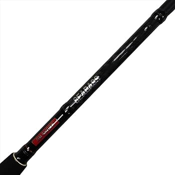 Amazon | ソルフィエスタ(Solfiesta) SOLFIESTA(ソルフェスタ