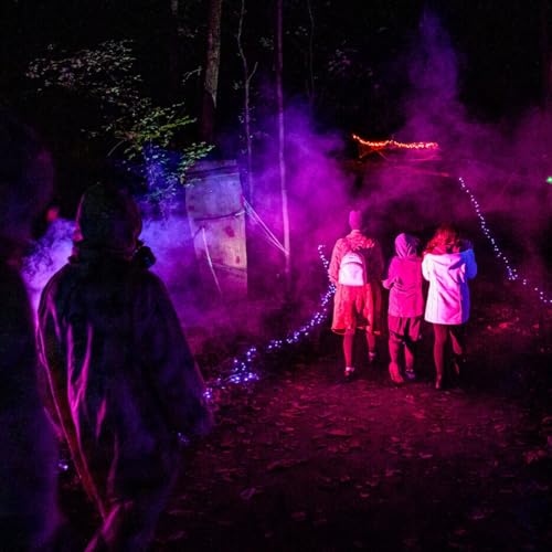 Greenville Weekender: Pickleball, Pizza & Cookie-Loving Dinosaurs cover art