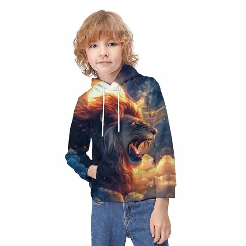 Sweat à capuche lion garçon 9-11 ans pull imprimé 3D drôle - 3
