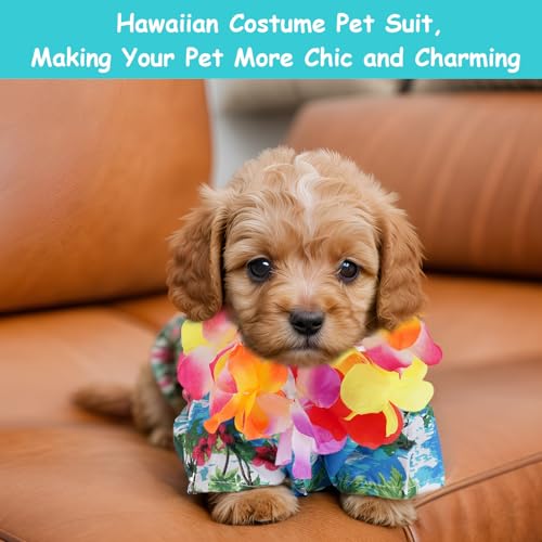 Disfraz hawaiano para perro pequeño X-Large 3 piezas miniatura 4