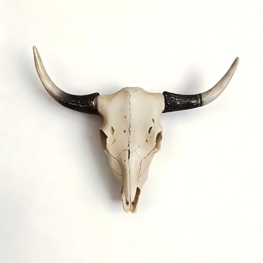 BKCEHCRS Cow Skull Wall Decor, Longhorn Wall Decor with Carved Details, Hand-Carved Authentic Taxidermy Cow Skull bull skull wall decor 8.2 * 7.8 * 4.5inch,Black 2