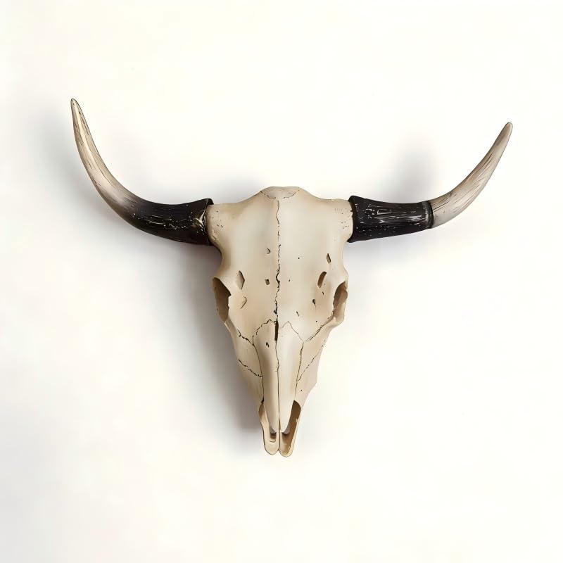 BKCEHCRS Cow Skull Wall Decor Longhorn Wall Decor with Carved Details Hand-Carved Authentic Taxidermy Cow Skull bull skull wall decor 8.2 * 7.8 * 4.5inch Black 2