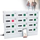 SHAHRYAR 12 Cell Phone Locker,Charging and Storage 2 in 1 Bays Cell Mobile Phone Steel Locker,with 3-in-1 Cables Dual Unlock Methods,for Classroom Conference Office