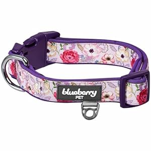 Blueberry Pet Soft & Comfy Peony Flower Print Neoprene Padded Adjustable Dog Collar, Mauve, Medium, Neck 14.5″-20″