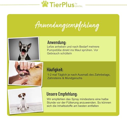 EXVital TierPlus Dentalspray für Hunde, gegen Zahnbelag, Zahnstein & Mundgeruch, natürliche Zahnreinigung & Zahnsteinentferner, 100 ml Sprühflasche, 100% natürlich & ohne Zusätze, Made in Germany