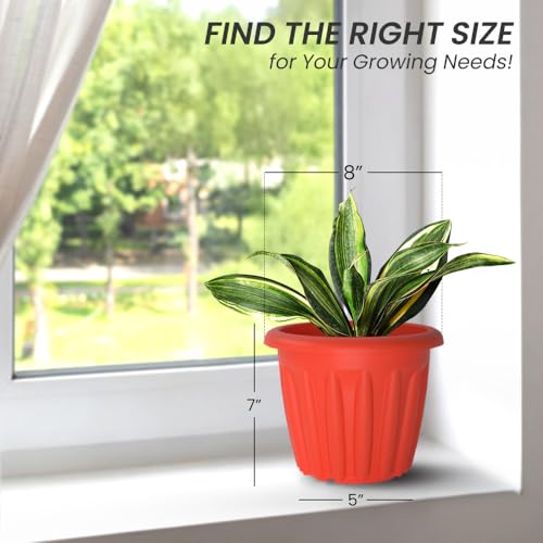 Image of YUCCABE ITALIA SHERA Floot 8 Inch Plastic Flower Pot 6 Piece Set of Round Shape Planter for Home Garden Seedling Planter for pots (Red)