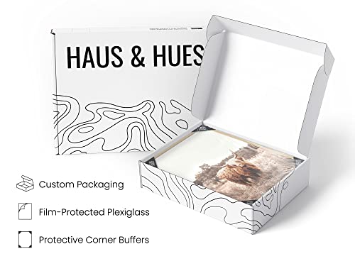 Haus And Hues Farmhouse Art Set Of 6, Cow Wall Art, Framed Wall Art Barn Pictures Wall Decor, Cow Pictures Wall Decor Farmhouse Pictures, Animal Wall Art Decor, Cow Wall Decor (Beige Framed, 8X10) #TOP3