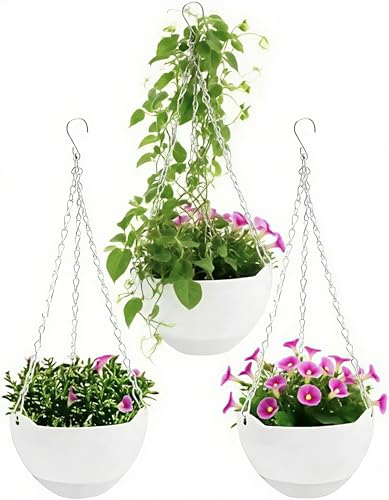 hanging planters