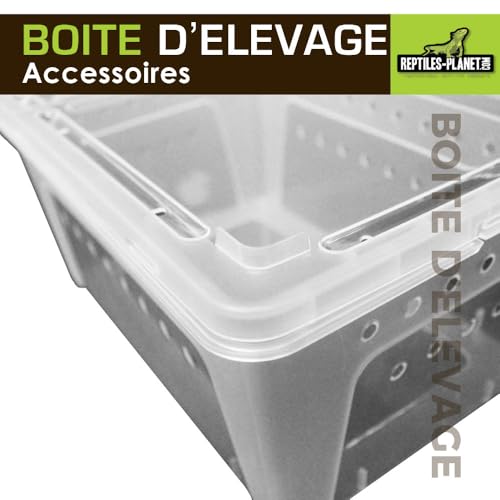 Reptile or Insect Breeding Box, 26 cm x 17.5 cm x 11.5 cm, White - Image 3