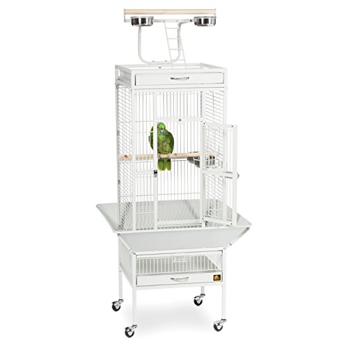 Image of Prevue Pet Products Wrought Iron Select Bird Cage - Steel Cage with Rolling Stand and Seed Guards, Durable Design, Ideal for Cockatiels and Medium Birds - Sage Green