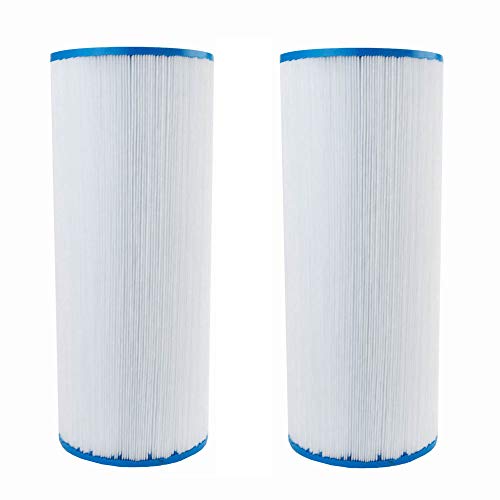 Clear Choice Pool Spa Filter 4.94 Dia x 9.81 in Cartridge Replacement for Unicel C-4428 Baleen AK-3027, [2-Pack]