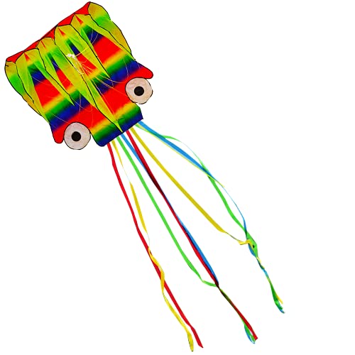 Huge Rainbow Octopus Kite for Children and Adults - Long 4 Meter Tails - Super Fun to Fly