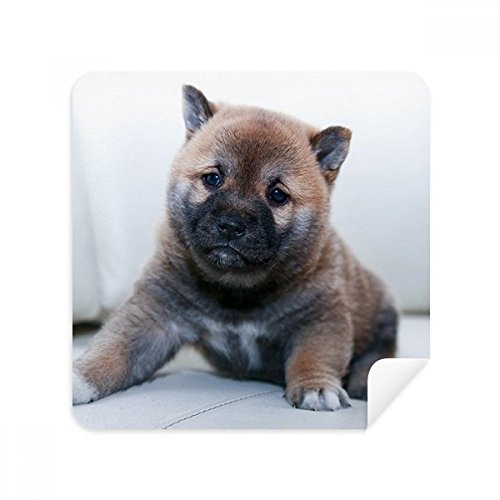 Tissu de nettoyage Pippy Dog pour garder vos écrans propres au bureau