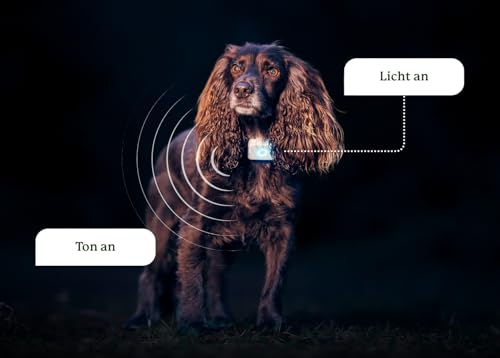 Lildog 2 GPS & Activity Tracker für Hunde | Wasserdicht, leicht, stoßfest | Live-GPS-Tracking & Standortverlauf | Schrittzähler & Aktivitätsmonitor | Hergestellt in Norwegen | Für alle Hunderassen